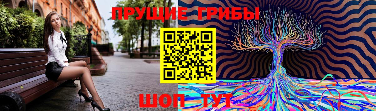 Галлюциногенные грибы Psilocybine cubensis Воткинск